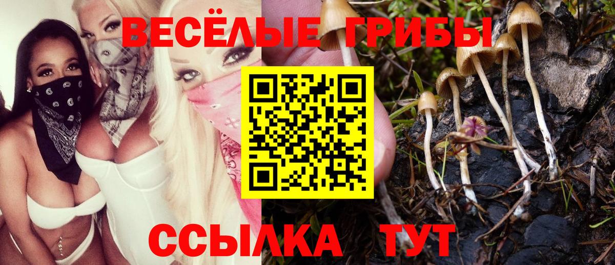 Галлюциногенные грибы Magic Shrooms Благодарный